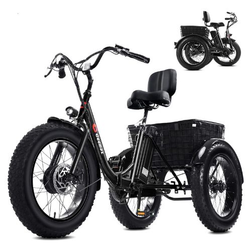 3Score Electric Fat Trike