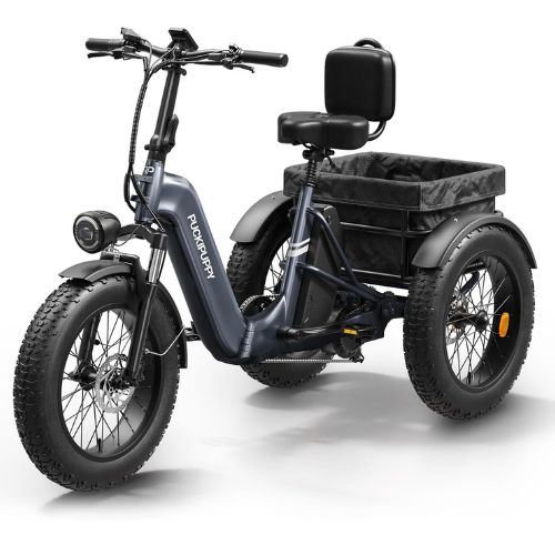 Adult Electric Tricycle Cargo Model