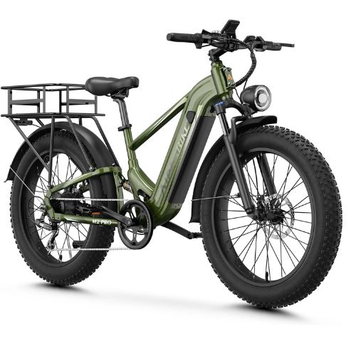 e bike