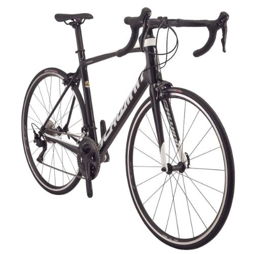 Schwinn Fastback Carbon