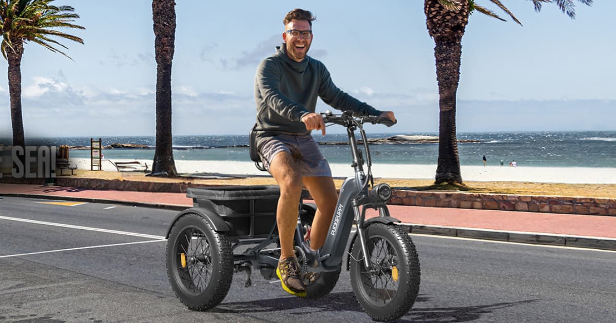 best electric tricycles for adults